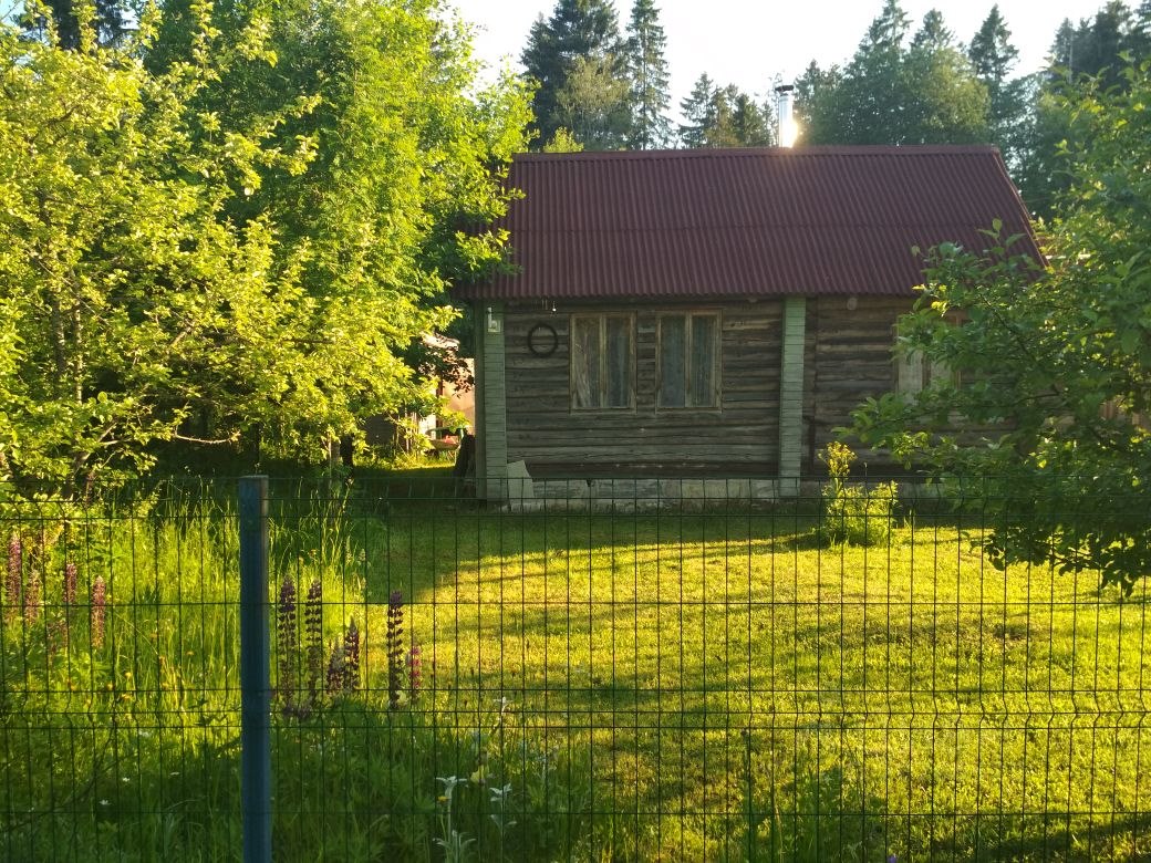 Купить участок в деревне Липовая Гора в Волосовском районе в Ленинградской  области — 14 объявлений о продаже участков на МирКвартир с ценами и фото