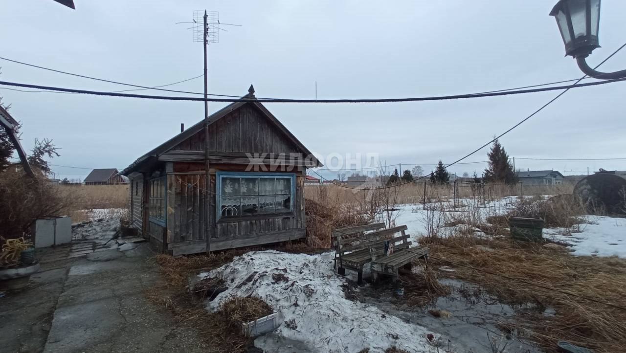 Купить дом в территории СНТ Колос в Бердске в Новосибирском районе в  Новосибирской области — 238 объявлений о продаже загородных домов на  МирКвартир с ценами и фото