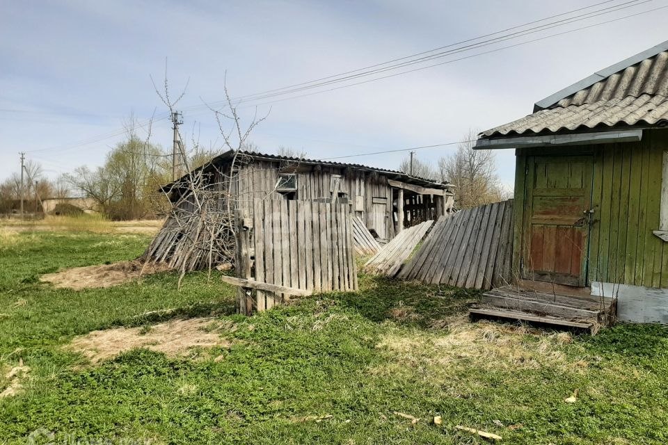 Строительство сараев в пскове