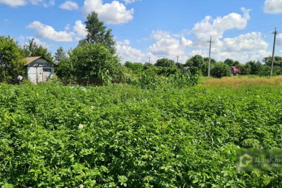 Земельные участки курская. Деревня Курчатовского района улица Леоновка. Леоновка Киевская область. Рахмановка 84. Дичня Курчатовский Курской области. Свеклопункт в Леоновке Бобровского район.