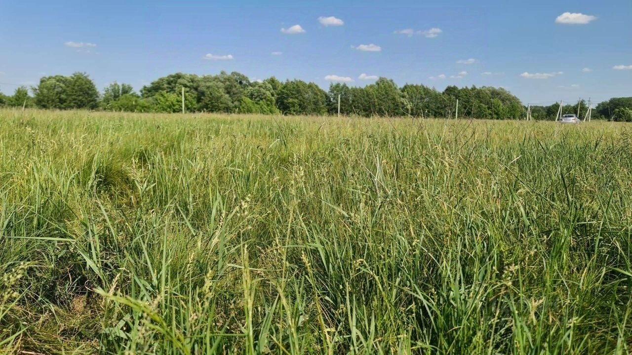 Купить участок без посредников в Курском районе в Курской области — 1 649  объявлений о продаже участков на МирКвартир с ценами и фото