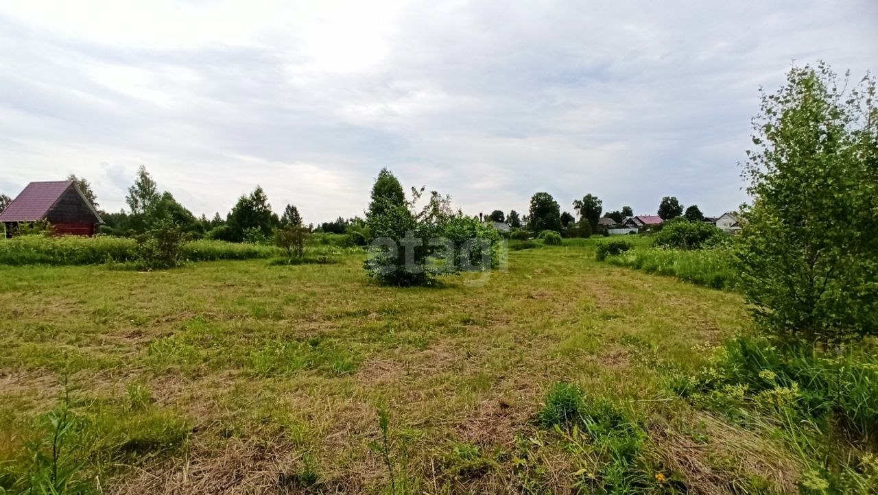 Купить участок в деревне Сельцо в Костромском районе в Костромской области  — 33 объявления о продаже участков на МирКвартир с ценами и фото