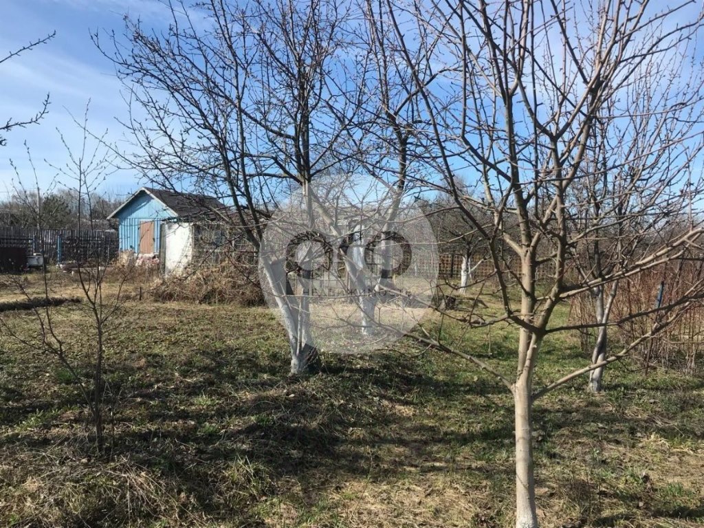 Купить участок в селе Реткино в Рязанском районе в Рязанской области — 25  объявлений о продаже участков на МирКвартир с ценами и фото