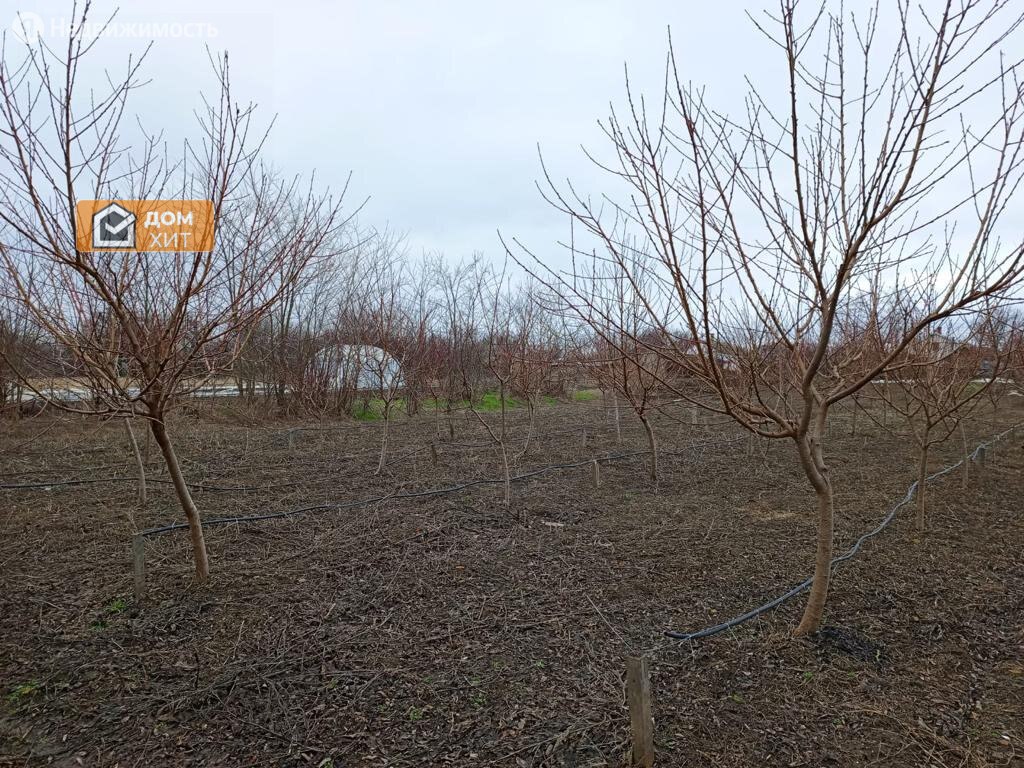 Купить дом на Садовой улице в селе Новопокровка в Красногвардейском районе  — 6 объявлений о продаже загородных домов на МирКвартир с ценами и фото