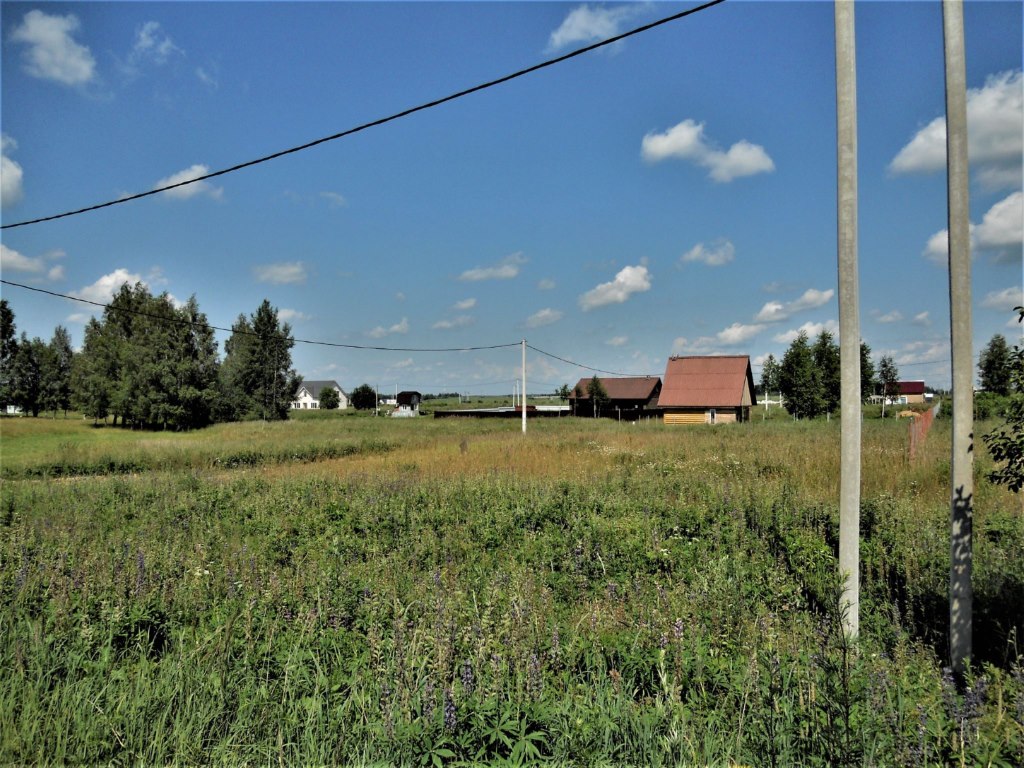 Быльники Смоленск. Быльники Смоленский район. Быльники участок фото. 8000 Соток.