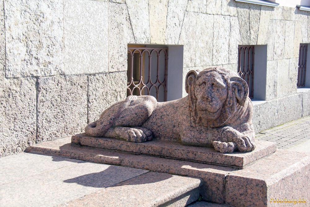 Века лев. Львы у особняка Лаваля. Львы у дома Лаваля на английской набережной. Гранитный Лев Петербург. Гранитные львы.